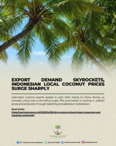 Export Demand Skyrockets, Indonesian Local Coconut Prices Surge Sharply
