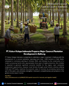 PT. Kebun Kelapa Indonesia Prepares Major Coconut Plantation Development in Belitung